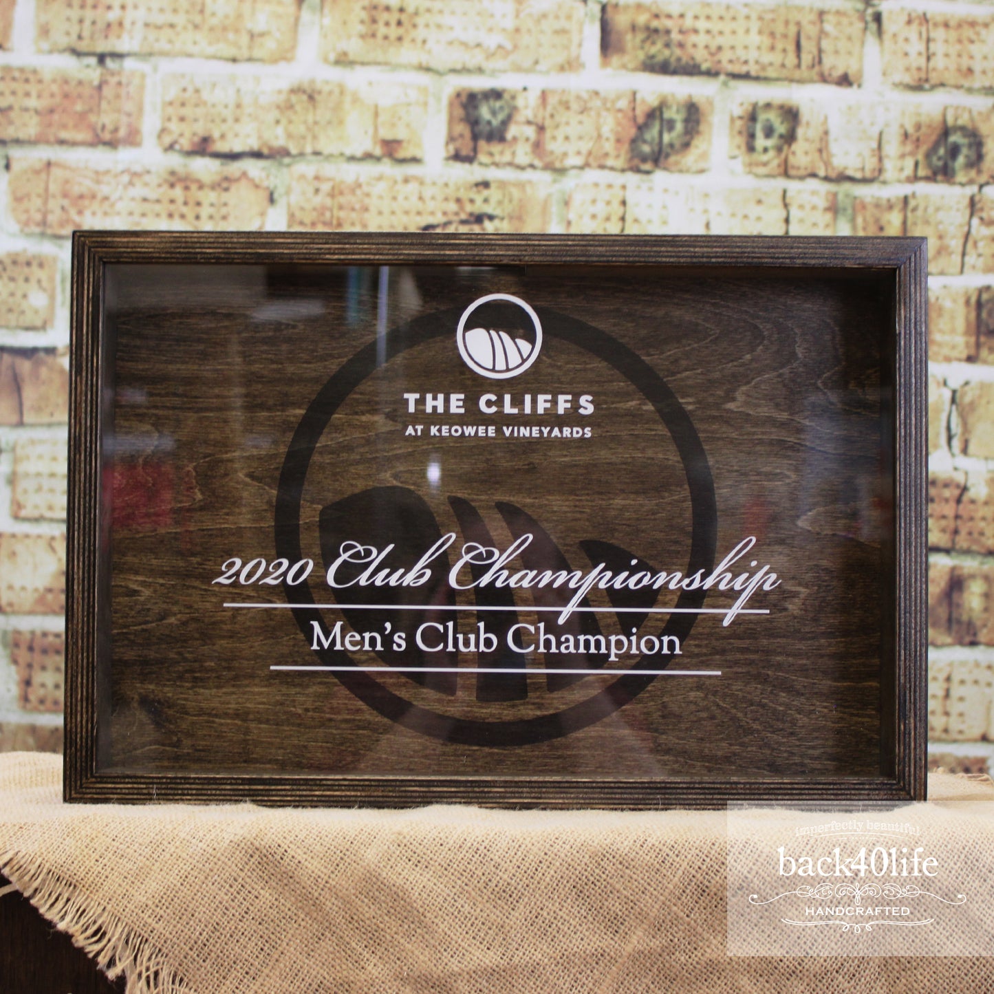 Wine Cork Shadowbox - Award Size