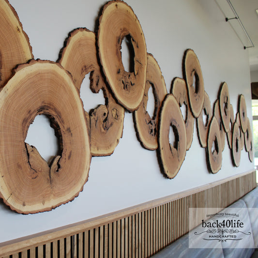 Lakehouse - Hollow Tree Rings