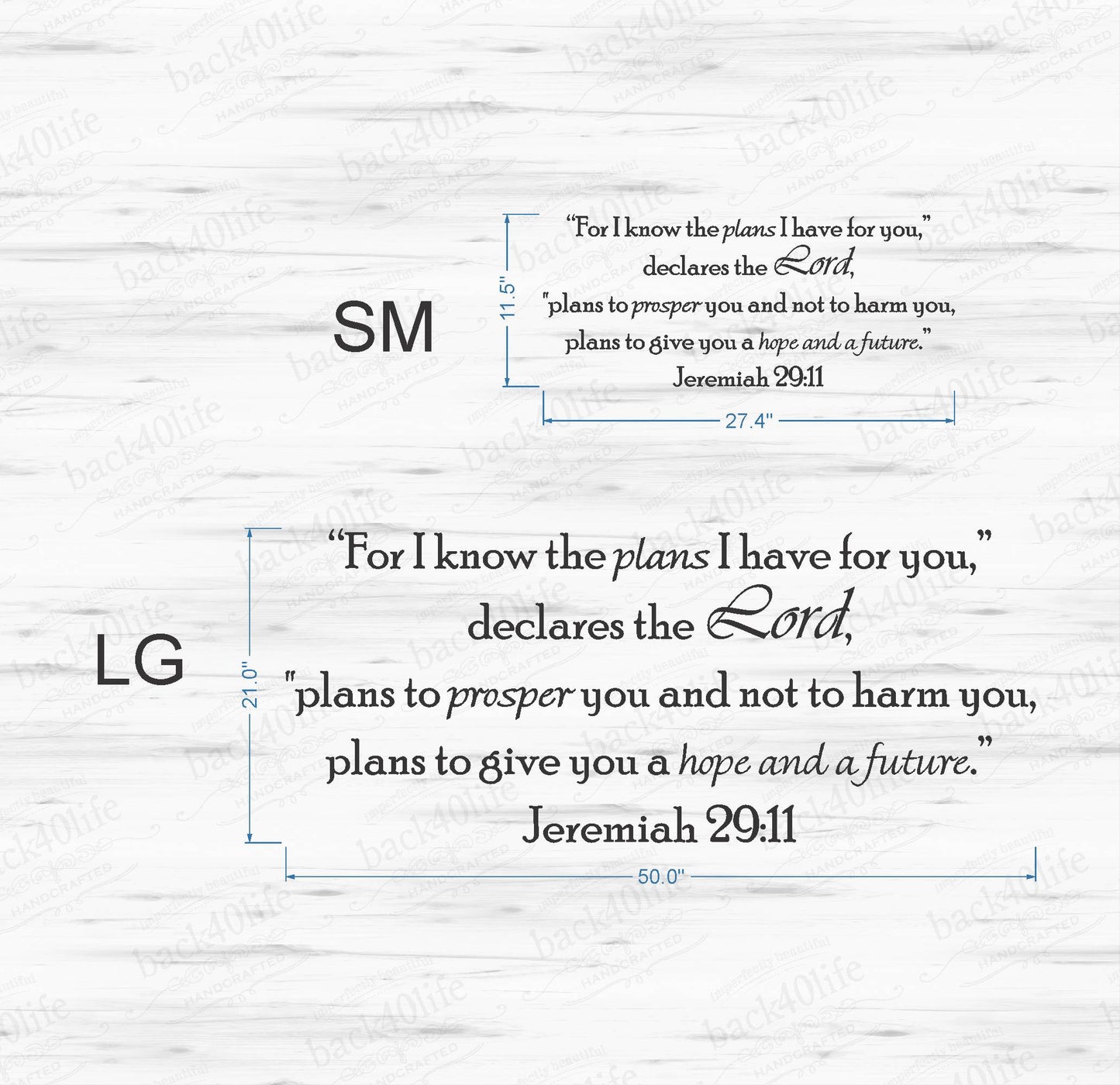 Plans I Have for You - Jeremiah 29:11 Vinyl Wall Decal (B-007)