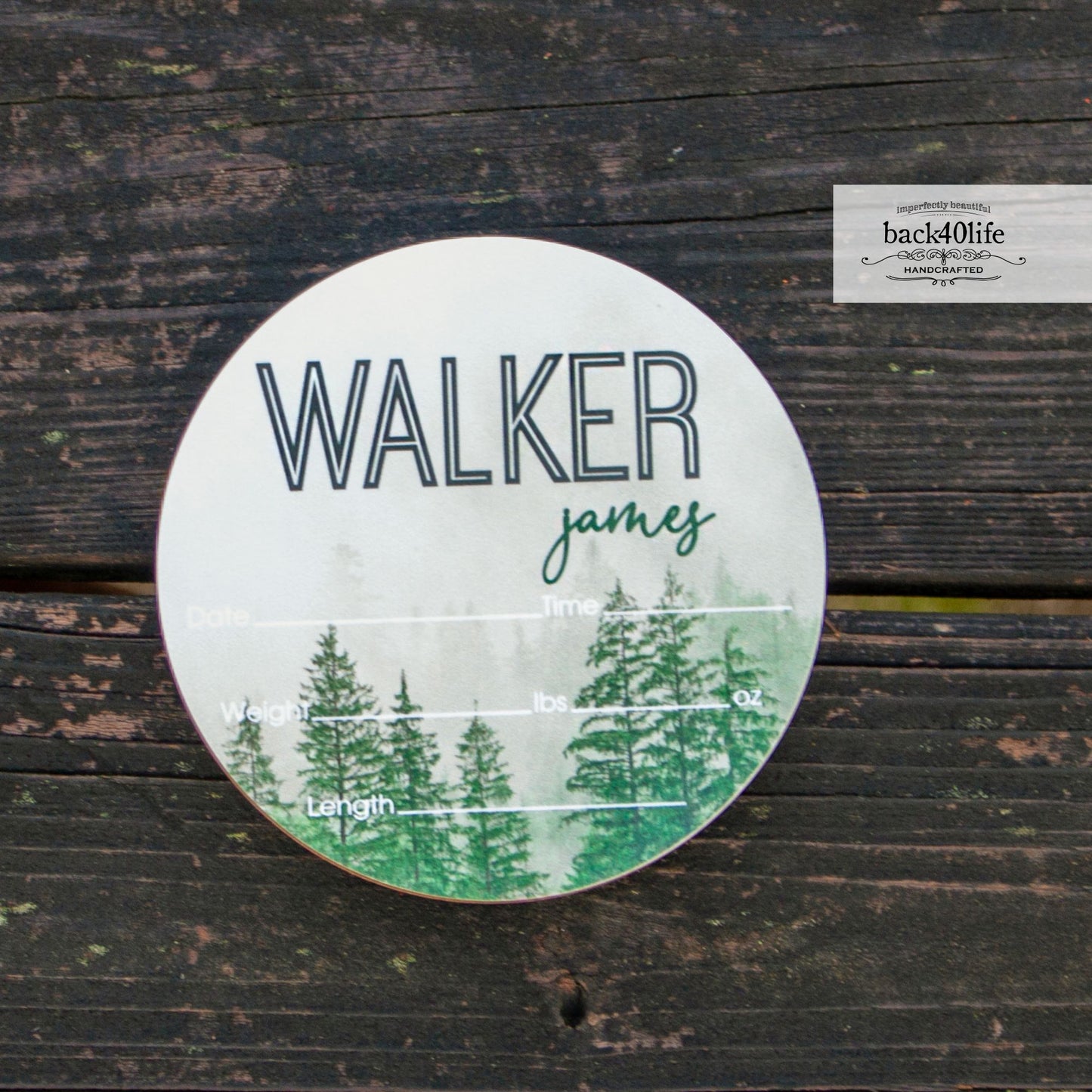 Wooden Birth Stats Picture Prop Sign for Boys and Girls (BST-001) - Back40Life