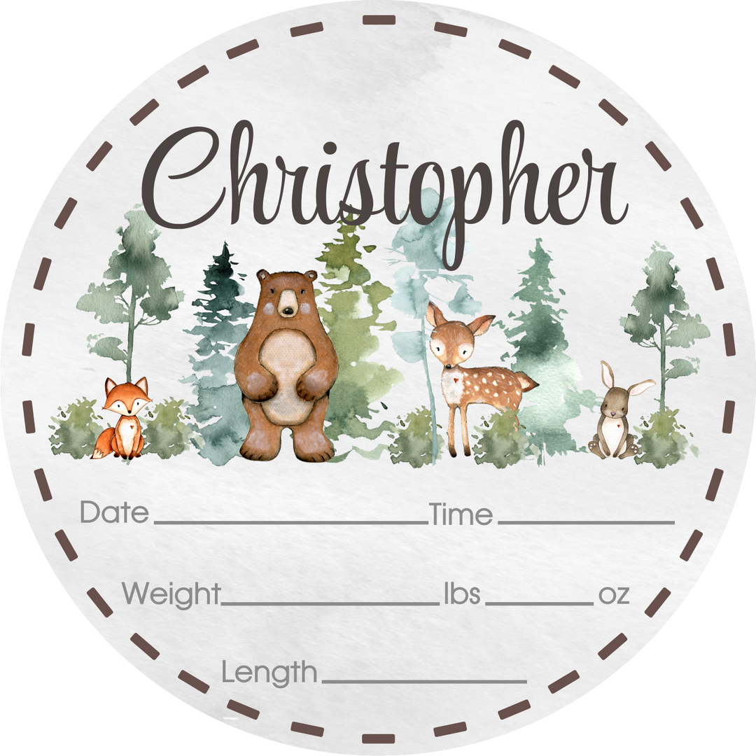 Wooden Birth Stats Picture Prop Sign for Boys and Girls (BST-014) - Back40Life